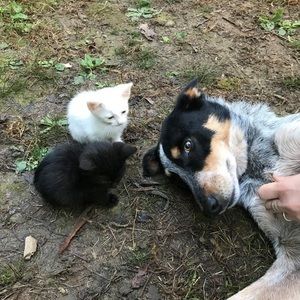 Meet your Posher, Aaron